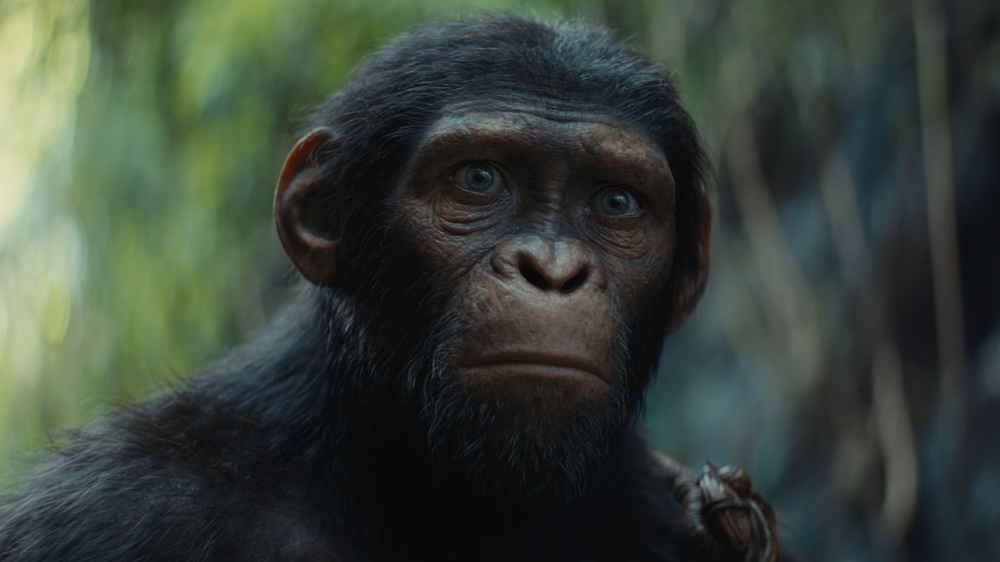 KINGDOM OF THE PLANET OF THE APES Kingdom of the Planet of the Apes