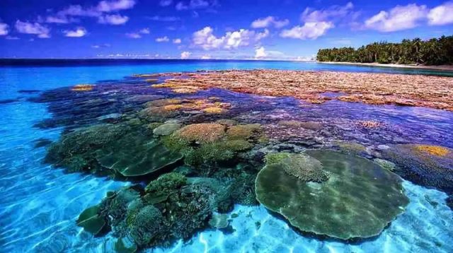 Taman Laut Bunaken