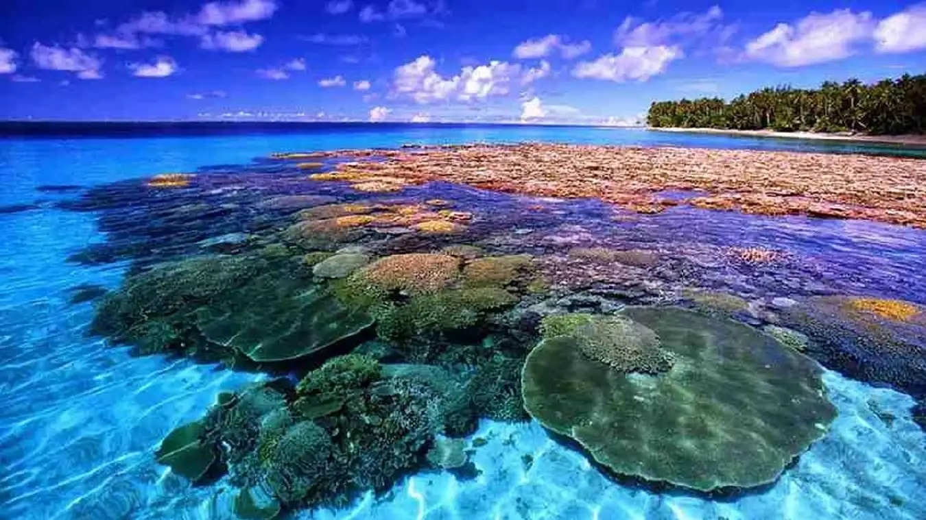 Taman Laut Bunaken Taman Laut Bunaken